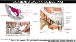 LIGAMENTO LACUNAR /GIMBERNAT
DESDE LIG INGUINAL A CRESTA PECTINEA
Skandalakis j, colborn g, “capitulo 9 pared abdominal y hernias” cirugía bases de la anatomía quirúrgica de skandalakis. Marbán libros España primera edición, versión español 2013. 351-416.
Moore, k. L., agur, a. M., & dalley, a. F. (2015).”Capítulo 5 abdomen” fundamentos de anatomía con orientación clínica 5a. Ed.. Barcelona: wolters kluwer. 765- 803
Netter. Atlas de anatomía humana. Ed. Elsevier. Ed. 7°. 2019. 457 -477
 