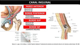 CANAL INGUINAL
PARED ANTERIOR
BORDE SUP
BORDE INF
BORDE POSTERIOR
OBLICUO EXT
OBLICUO INT
TRANSVERSO
FASCIA TRANSVERSALIS
OBLICUO INT
TRANSVERSO
LIGAMENTO INGUINAL
Moore, k. L., agur, a. M., & dalley, a. F. (2015).”Capítulo 5 abdomen” fundamentos de anatomía con orientación clínica 5a. Ed.. Barcelona: wolters kluwer. 765- 803
 