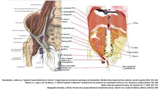 Skandalakis j, colborn g, “capitulo 9 pared abdominal y hernias” cirugía bases de la anatomía quirúrgica de skandalakis. Marbán libros España primera edición, versión español 2013. 351-416.
Moore, k. L., agur, a. M., & dalley, a. F. (2015).”Capítulo 5 abdomen” fundamentos de anatomía con orientación clínica 5a. Ed.. Barcelona: wolters kluwer. 765- 803
Netter. Atlas de anatomía humana. Ed. Elsevier. Ed. 7°. 2019. 457 -477
Mayagoitia González, J (2015). Hernias de la pared abdominal tratamiento actual.. Edición 3ra. Ciudad de México, México. Editorial Alfil
 