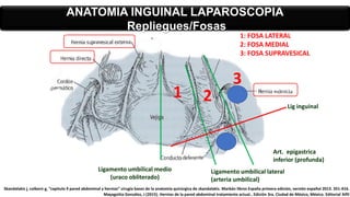 Ligamento umbilical medio
(uraco obliterado)
Ligamento umbilical lateral
(arteria umbilical)
Art. epigastrica
inferior (profunda)
1 2
3
1: FOSA LATERAL
2: FOSA MEDIAL
3: FOSA SUPRAVESICAL
Lig inguinal
ANATOMIA INGUINAL LAPAROSCOPIA
Repliegues/Fosas
Skandalakis j, colborn g, “capitulo 9 pared abdominal y hernias” cirugía bases de la anatomía quirúrgica de skandalakis. Marbán libros España primera edición, versión español 2013. 351-416.
Mayagoitia González, J (2015). Hernias de la pared abdominal tratamiento actual.. Edición 3ra. Ciudad de México, México. Editorial Alfil
 