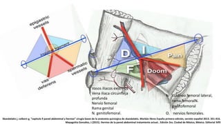 Vasos iliacos externos
Vena iliaca circunfleja
profunda
Nervio femoral
Rama genital
N. genitofemoral.
N. cutáneo femoral lateral,
rama femoralN.
genitofemoral
O. nervios femorales.
Skandalakis j, colborn g, “capitulo 9 pared abdominal y hernias” cirugía bases de la anatomía quirúrgica de skandalakis. Marbán libros España primera edición, versión español 2013. 351-416.
Mayagoitia González, J (2015). Hernias de la pared abdominal tratamiento actual.. Edición 3ra. Ciudad de México, México. Editorial Alfil
 