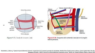Skandalakis j, colborn g, “capitulo 9 pared abdominal y hernias” cirugía bases de la anatomía quirúrgica de skandalakis. Marbán libros España primera edición, versión español 2013. 351-416.
Mayagoitia González, J (2015). Hernias de la pared abdominal tratamiento actual.. Edición 3ra. Ciudad de México, México. Editorial Alfil
 