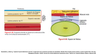 Skandalakis j, colborn g, “capitulo 9 pared abdominal y hernias” cirugía bases de la anatomía quirúrgica de skandalakis. Marbán libros España primera edición, versión español 2013. 351-416.
Mayagoitia González, J (2015). Hernias de la pared abdominal tratamiento actual.. Edición 3ra. Ciudad de México, México. Editorial Alfil
 
