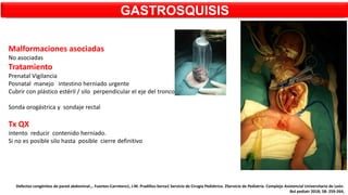 Malformaciones asociadas
No asociadas
Tratamiento
Prenatal Vigilancia
Posnatal manejo intestino herniado urgente
Cubrir con plástico estéril / silo perpendicular el eje del tronco
Sonda orogástrica y sondaje rectal
Tx QX
intento reducir contenido herniado.
Si no es posible silo hasta posible cierre definitivo
GASTROSQUISIS
Defectos congénitos de pared abdominal.,. Fuentes-Carretero1, J.M. Pradillos-Serna1 Servicio de Cirugía Pediátrica. 2Servicio de Pediatría. Complejo Asistencial Universitario de León.
Bol pediatr 2018; 58: 259-264,
 