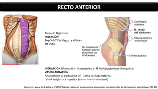 RECTO ANTERIOR
Musculo Digastrico.
INSERCIÓN
Sup 5-6-7 Cartílagos y xifoides
Inf Pubis
INERVACION Ultimos 6 N. intercostales, y N iliohipogástrico e ilioinguinal.
VASCULARIZACIÓN
Anastomosis A. epigástrica inf (rama A. iliaca externa)
y la A.epigástrica superior ( rama mamaria interna)
Moore, k. L., agur, a. M., & dalley, a. F. (2015).”Capítulo 5 abdomen” fundamentos de anatomía con orientación clínica 5a. Ed.. Barcelona: wolters kluwer. 765- 803
 