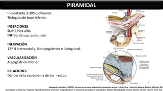 Inconstante 2-30% poblacion
Triángulo de base inferior.
INSERCIONES
SUP Linea alba
INF Borde sup pubis, con
INERVACIÓN
12º N intercostal y iliohipogástrico e ilioinguinal.
VASCULARIZACIÓN
A epigástrica inferior.
RELACIONES
Dentro de la seudovaina de los rectos.
PIRAMIDAL
Mayagoitia González, J (2015). Hernias de la pared abdominal tratamiento actual.. Edición 3ra. Ciudad de México, México. Editorial Alfi
Skandalakis j, colborn g, “capitulo 9 pared abdominal y hernias” cirugía bases de la anatomía quirúrgica de skandalakis. Marbán libros España primera edición, versión español 2013. 351-
 