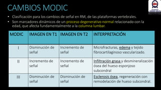 Modic Columna Patología radiológica de la columna vertebral | PPTX