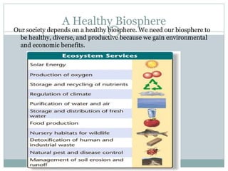 A Healthy Biosphere
Our society depends on a healthy biosphere. We need our biosphere to
  be healthy, diverse, and productive because we gain environmental
  and economic benefits.
 