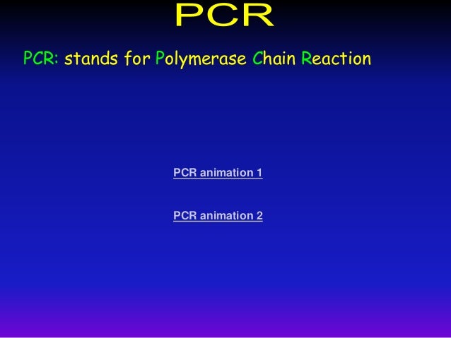 Animation Of Protein Synthesis