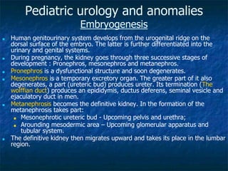 Pediatric urology and anomalies
Embryogenesis
■ Human genitourinary system develops from the urogenital ridge on the
dorsal surface of the embryo. The latter is further differentiated into the
urinary and genital systems.
■ During pregnancy, the kidney goes through three successive stages of
development : Pronephros, mesonephros and metanephros.
■ Pronephros is a dysfunctional structure and soon degenerates.
■ Mesonephros is a temporary excretory organ. The greater part of it also
degenerates, a part (ureteric bud) produces ureter. Its termination (The
wolffian duct) produces an epididymis, ductus deferens, seminal vesicle and
ejaculatory duct in men.
■ Metanephrosis becomes the definitive kidney. In the formation of the
metanephrosis takes part:
■ Mesonephrotic ureteric bud - Upcoming pelvis and urethra;
■ Arounding mesodermic area – Upcoming glomerular apparatus and
tubular system.
■ The definitive kidney then migrates upward and takes its place in the lumbar
region.
 