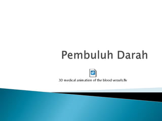 Pembuluh Darah 