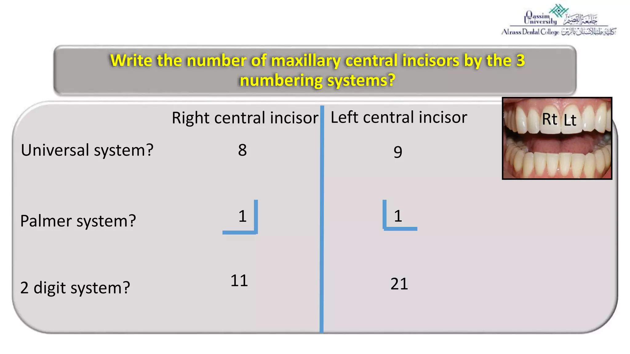 Central Incusors 3= Permanent maxillary Central incisor.pptx