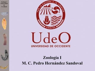 Zoología I
M. C. Pedro Hernández Sandoval

 