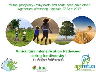Mutual prosperity - Why north and south need each other.
Agrinatura Workshop. Uppsala,27 April 2017
Agriculture Intensification Pathways:
caring for diversity !
by Philippe Petithuguenin
 