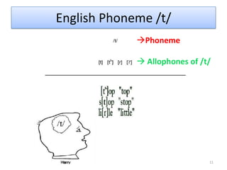 However, in the phonology of English, they would be represented in the same way  /t/- These articulation differences are important, but the distinction between [t] and, for example [c], [b], and [f] are more important because they distinguish meanings of words such as tar, car, bar, far.