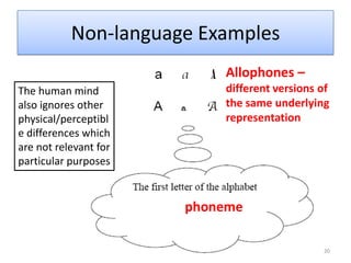 They are allophones of the same phoneme /p/. English Phoneme /p/14Does it work this way in all languages?? Let’s look at Hindi, an Indo-Aryan language spoken in northern and central India. Hindi:  [phal] "knife edge“        [pal] "take care of"  [kaphi] "ample“             [kapi] "copy”In Hindi, [ph] and [p] ARE contrastive. They create a contrast in meaning. 