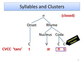 Dataset: Sindhi Sindhi is an Indo-European language of the Indo-Aryan family, spoken in Pakistan and India. 30Examine the distribution of the phones [p], [ph], and [b]. 1) Determine if the three are allophones of separate phonemes, or allophones of the same phoneme. 2) What is your evidence? 3) Is the relationship between the sounds the same as in English? Why or why not? In Sandhi and English, /p/ and /b/ are separate phonemes. In English, [p ph] are allophones of the same phoneme, but in Sindi they’re phonemes.