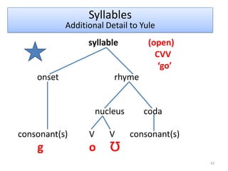 Phonotactic constraints: restrictions on possible combinations of sounds, these constraints operate on a unit larger than the single segment/phonemeSyllable structure: 33Phonotacticssyllable            onset                 rhyme                            nucleus         coda   consonant(s)   vowel  consonant(s)Basicelements of the syllable:onset – can be empty or have one or more consonants