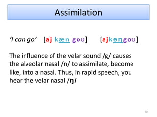 41Syllables Additional Detail to Yulesyllable                (open)CVV‘I’,‘eye’           onset                            rhyme                                      nucleus         coda  consonant(s)          V       V       consonant(s)aI