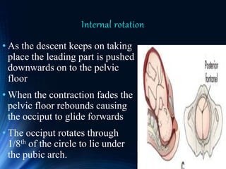 Physiology and Mangement of 2nd stage labour | PPTX