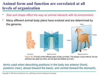 3 Plant and Animal Tissues presentation .pptx