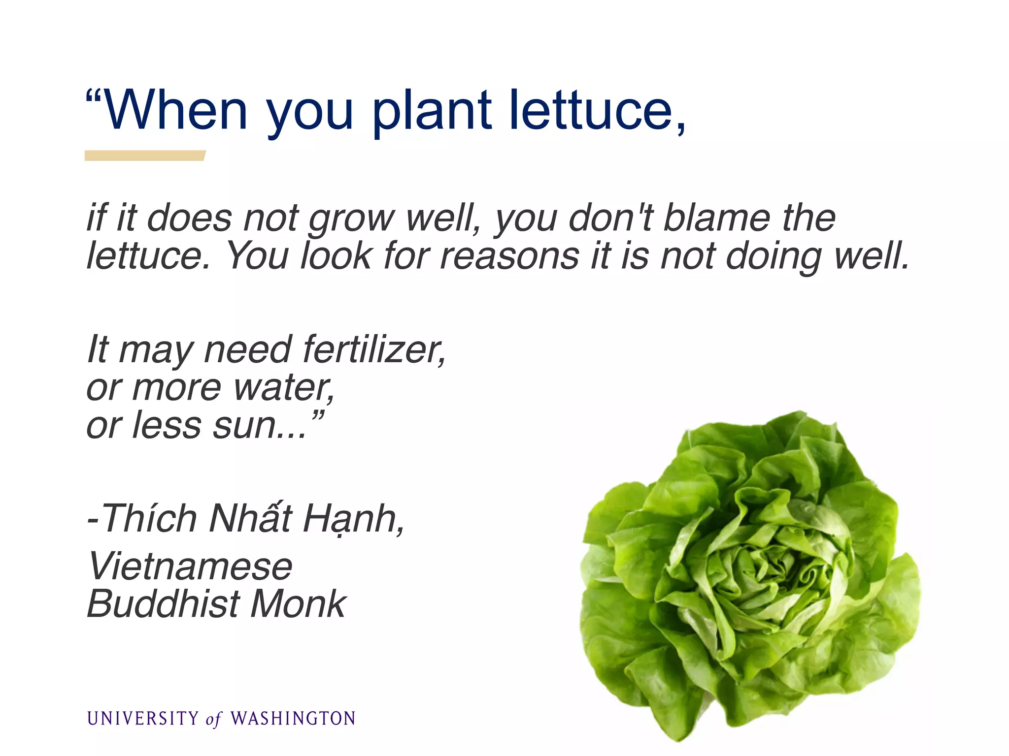 “When you plant lettuce,
if it does not grow well, you don't blame the
lettuce. You look for reasons it is not doing well.
It may need fertilizer,
or more water,
or less sun...”
-Thích Nhất Hạnh,
Vietnamese
Buddhist Monk
 
