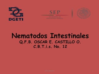 Nematodos Intestinales
Q.F.B. OSCAR E. CASTILLO O.
C.B.T.i.s. No. 12
q.f.b. oscareco 1
 