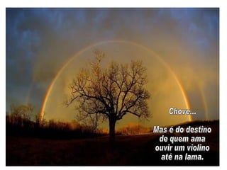 Chove... Mas é do destino de quem ama ouvir um violino até na lama. 