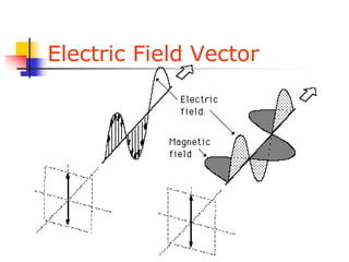 Electric Field Vector
 