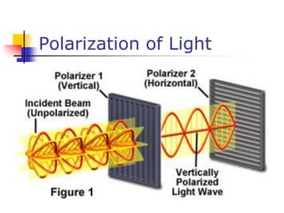 Polarization of Light
 