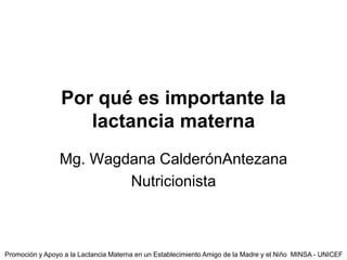 Por qué es importante la
lactancia materna
Mg. Wagdana CalderónAntezana
Nutricionista
Promoción y Apoyo a la Lactancia Materna en un Establecimiento Amigo de la Madre y el Niño MINSA - UNICEF
 
