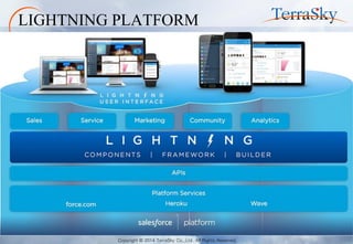 Copyright © 2014 TerraSky Co.,Ltd. All Rights Reserved. 
LIGHTNING PLATFORM  