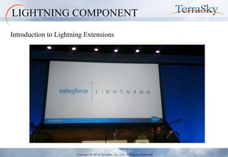 Copyright © 2014 TerraSky Co.,Ltd. All Rights Reserved. 
Introduction to Lightning Extensions 
LIGHTNING COMPONENT  