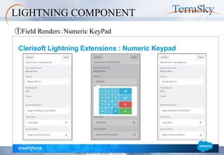 Copyright © 2014 TerraSky Co.,Ltd. All Rights Reserved. 
LIGHTNING COMPONENT 
①Field Renders：Numeric KeyPad  