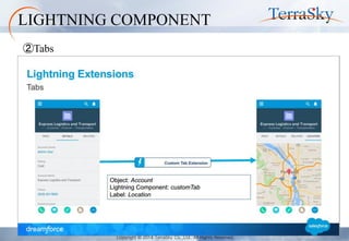 Copyright © 2014 TerraSky Co.,Ltd. All Rights Reserved. 
②Tabs 
LIGHTNING COMPONENT  