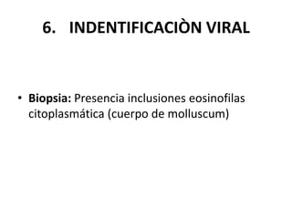6. INDENTIFICACIÒN VIRAL
• Biopsia: Presencia inclusiones eosinofilas
citoplasmática (cuerpo de molluscum)