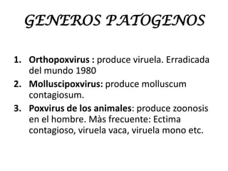 GENEROS PATOGENOS
1. Orthopoxvirus : produce viruela. Erradicada
del mundo 1980
2. Molluscipoxvirus: produce molluscum
contagiosum.
3. Poxvirus de los animales: produce zoonosis
en el hombre. Màs frecuente: Ectima
contagioso, viruela vaca, viruela mono etc.