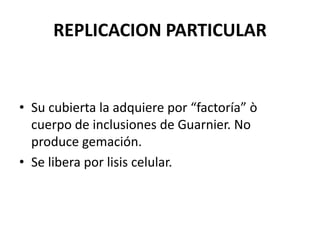 REPLICACION PARTICULAR
• Su cubierta la adquiere por “factoría” ò
cuerpo de inclusiones de Guarnier. No
produce gemación.
• Se libera por lisis celular.