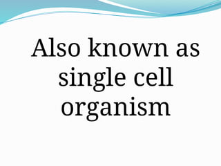 Also known as
single cell
organism
 