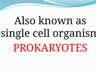 Also known as
single cell organism
PROKARYOTES
 