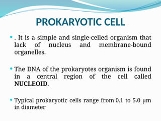 PROKARYOTIC CELL
 . It is a simple and single-celled organism that
lack of nucleus and membrane-bound
organelles.
 The DNA of the prokaryotes organism is found
in a central region of the cell called
NUCLEOID.
 Typical prokaryotic cells range from 0.1 to 5.0 μm
in diameter
 