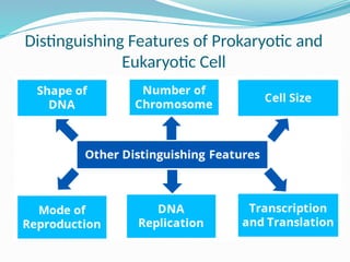 Distinguishing Features of Prokaryotic and
Eukaryotic Cell
 