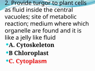 2. Provide turgor to plant cells
as fluid inside the central
vacuoles; site of metabolic
reaction; medium where which
organelle are found and it is
like a jelly like fluid
A. Cytoskeleton
B Chloroplast
C. Cytoplasm
 