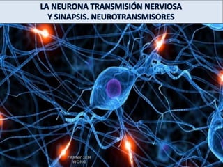 3 BASES BIOLÓGICAS DE LA CONDUCTA : LA NEURONA SINAPSIS | PPT