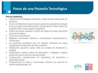 Pasos de una Pasantía Tecnológica
 