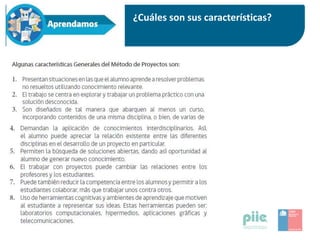 ¿Cuáles son sus características?
 