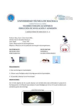 UNIVERSIDAD TÉCNICA DE MACHALA 
Calidad, Pertinencia y Calidez 
VICERRECTORADO ACADÉMICO 
DIRECCIÓN DE NIVELACIÓN Y ADMISIÓN 
LABORATORIO DE BIOLOGÍA N.- 6 
Profesor: Bioq. Farm. Carlos García MSc. 
Alumno: Kevin Alexander Herrera A. 
Área: Salud Curso: V02 
Tema: Observación de microorganismos 
Objetivo: Observar con la ayuda del microscopio microorganismos. 
MATERIALES SUSTANCIAS 
MICROSCOPIO HORMIGA 
PORTAOBJETO SUERO FISIOLÓGICO 
PROCEDIMIENTO: 
1.-Fijar una hormiga en el portaobjeto. 
2.- Colocar suero fisiológico sobre la hormiga que está en el portaobjeto. 
3.- Se procede a observar con el microscopio. 
OBSERVACIONES: 
Con el lente objetivo de 4x se pudo observar con claridad cómo está conformado el cuerpo de la 
hormiga gracias a la refracción que produce el suero fisiológico con la luz. En lo cual se observa con 
claridad las partes de la hormiga. 
vista 4X de la hormiga 
 
