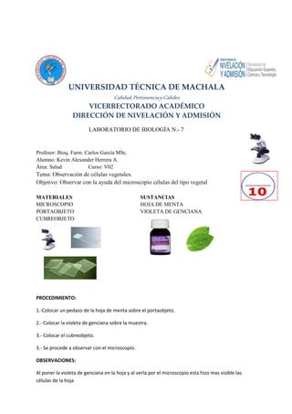 UNIVERSIDAD TÉCNICA DE MACHALA 
Calidad, Pertinencia y Calidez 
VICERRECTORADO ACADÉMICO 
DIRECCIÓN DE NIVELACIÓN Y ADMISIÓN 
LABORATORIO DE BIOLOGÍA N.- 7 
Profesor: Bioq. Farm. Carlos García MSc. 
Alumno: Kevin Alexander Herrera A. 
Área: Salud Curso: V02 
Tema: Observación de células vegetales. 
Objetivo: Observar con la ayuda del microscopio células del tipo vegetal 
MATERIALES SUSTANCIAS 
MICROSCOPIO HOJA DE MENTA 
PORTAOBJETO VIOLETA DE GENCIANA 
CUBREOBJETO 
PROCEDIMIENTO: 
1.-Colocar un pedazo de la hoja de menta sobre el portaobjeto. 
2.- Colocar la violeta de genciana sobre la muestra. 
3.- Colocar el cubreobjeto. 
3.- Se procede a observar con el microscopio. 
OBSERVACIONES: 
Al poner la violeta de genciana en la hoja y al verla por el microscopio esta hizo mas visible las 
células de la hoja 
 