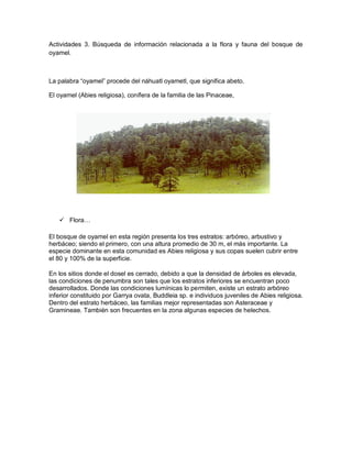 Actividades 3. Búsqueda de información relacionada a la flora y fauna del bosque de
oyamel.
La palabra “oyamel” procede del náhuatl oyametl, que significa abeto.
El oyamel (Abies religiosa), conífera de la familia de las Pinaceae,
 Flora…
El bosque de oyamel en esta región presenta los tres estratos: arbóreo, arbustivo y
herbáceo; siendo el primero, con una altura promedio de 30 m, el más importante. La
especie dominante en esta comunidad es Abies religiosa y sus copas suelen cubrir entre
el 80 y 100% de la superficie.
En los sitios donde el dosel es cerrado, debido a que la densidad de árboles es elevada,
las condiciones de penumbra son tales que los estratos inferiores se encuentran poco
desarrollados. Donde las condiciones lumínicas lo permiten, existe un estrato arbóreo
inferior constituido por Garrya ovata, Buddleia sp. e individuos juveniles de Abies religiosa.
Dentro del estrato herbáceo, las familias mejor representadas son Asteraceae y
Gramineae. También son frecuentes en la zona algunas especies de helechos.
 