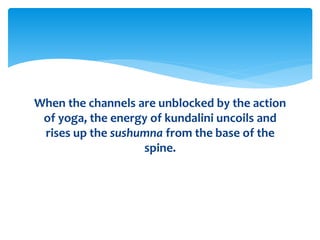 When the channels are unblocked by the action
of yoga, the energy of kundalini uncoils and
rises up the sushumna from the base of the
spine.
 